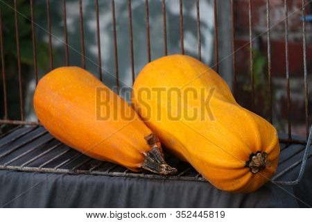 Yellow Uncooked Vegetable Zucchini On A Steel Wire Rack. Organic Long Pumpkin From The Garden Or Fro