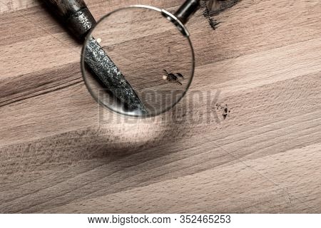 Looking Through A Magnifying Glass At A Knife For Crime Scene Clues