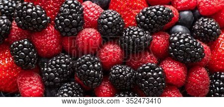 Berry Background. Banner. Blackberries, Raspberries And Strawberries Close-up, Macro. Sweet Fresh Ri