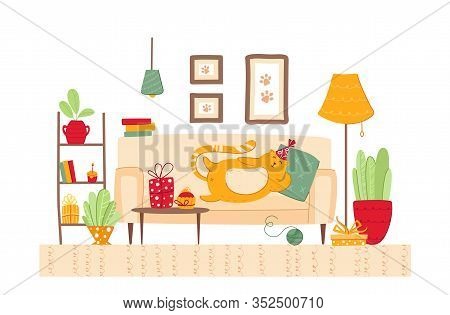 Pets Birthday Concept - Fat Cat In Festive Hat Lies On Sofa And Pilllow In Cozy Room, Gift Boxes And