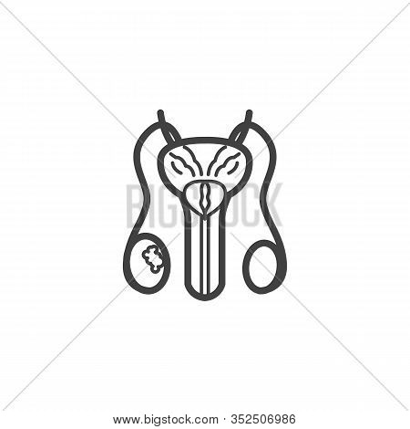 Testicular Cancer Line Icon. Linear Style Sign For Mobile Concept And Web Design. Testicular With Tu