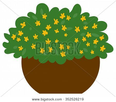 Bush In Pot, Plant With Leaves And Flowers, Element Of Harvest Festival In Europe. Natural Object Wi