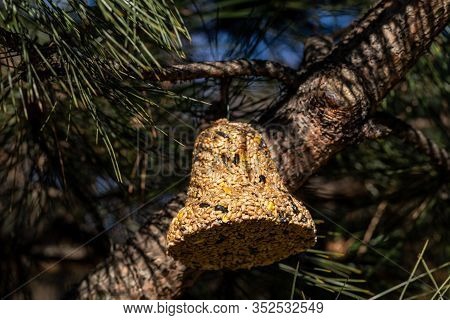 Bell From Various Grains, A Delicacy For All The Birds In The Garden