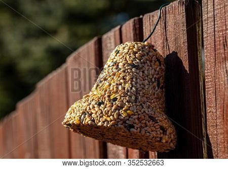 Bell From Various Grains, A Delicacy For All The Birds In The Garden