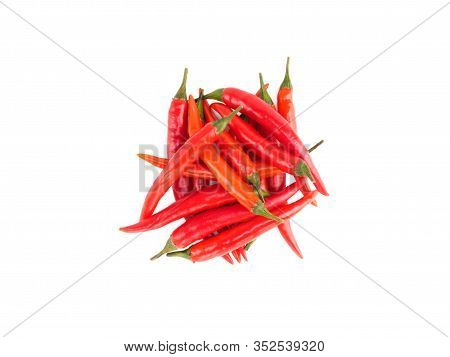 Bunch Of Red Chili Pepper Isolated On White Background. Indian Cuisine, Ayurveda, Naturopathy Concep