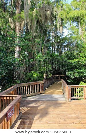Cypress Boardwalk