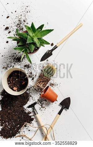 Landing Of Flower In A Flowerpot. Flat Lay Composition With Indoor Flowers, Garden Tools And Loose S