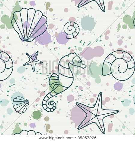 Splash-shell-modello