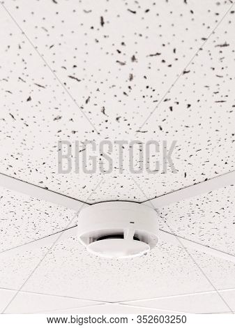 Smoke Sensor On The Ceiling In The Office Room. Fire Alarm Element. Workspace Security.