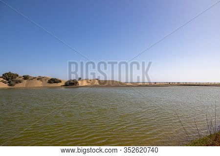 Beautiful Landscape On The Spanish Canary Island Of Gran Canaria With The La Charca De Maspalomas La