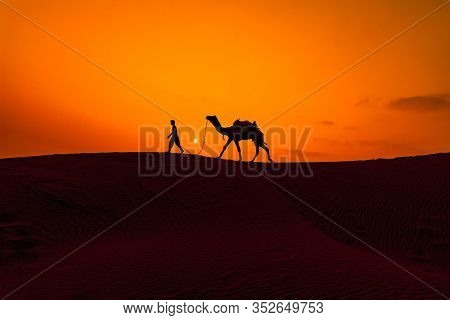 Cameleers, camel Drivers at sunset. Thar desert on sunset Jaisalmer, Rajasthan, India.