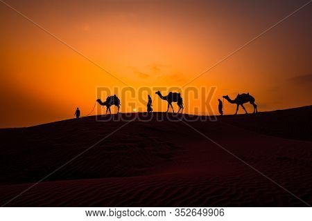 Cameleers, camel Drivers at sunset. Thar desert on sunset Jaisalmer, Rajasthan, India.