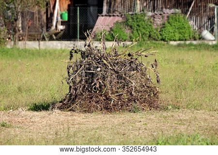 Pile Of Dry Grass Covered With Branches And Leaves Left In Large Family House Backyard Surrounded Wi