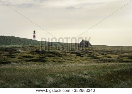 Sylt Island Landscape With Dunes With Green Moss And Marram Grass, A Lighthouse And Frisian House, A