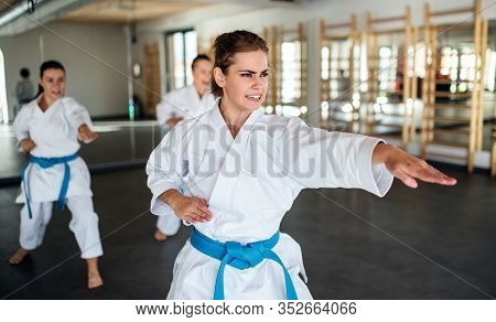 Group Of Young Women Practising Karate Indoors In Gym.