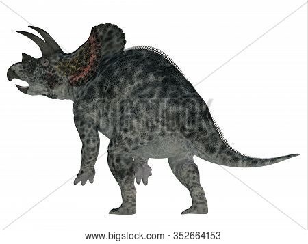 Triceratops Dinosaur Tail 3d Illustration - Triceratops Was A Herbivorous Ceratopsian Dinosaur That 