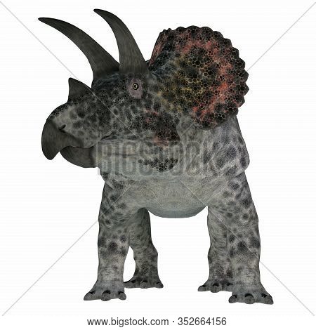 Triceratops Dinosaur On White 3d Illustration - Triceratops Was A Herbivorous Ceratopsian Dinosaur T