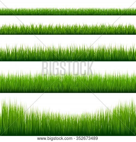 Grass Borders Collection. Green Meadow Nature Background. Easter Card Design Element. Vector Illustr