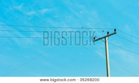 Post energii elektrycznej w błękitne niebo z ptaka trzymać kabel elektryczny