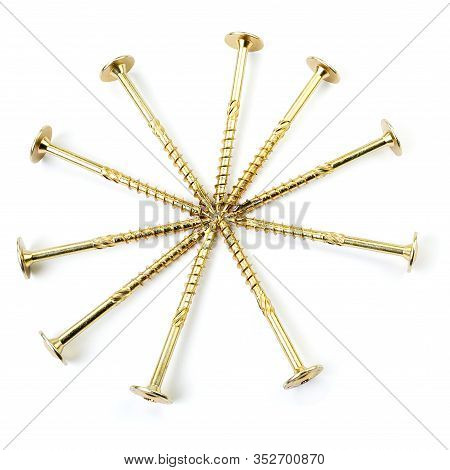 Gold Torx Screw Isolated On White. Yellow Zinc Chipboard Screw Torx, , Full Thread Close Up