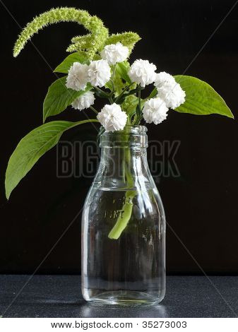 Amaranthus och en knapp krysantemum
