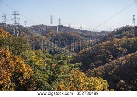 Autumn Landscape, Autumn Foliage In Temperate Deciduous Forest Of Osaka, Japan