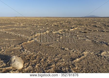 The Salt Plains Of Asale Lake In The Danakil Depression In Ethiopia In Africa.