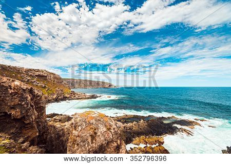 Picturesque View Of Kangaroo Island Coast With Sea Lions On The Rocks, South Australia