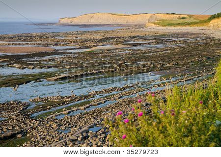 einmal Strand West somerset
