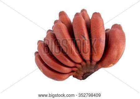 Fresh Red Banana Isolated On White Background. Group Of Varieties Of Banana With Reddish-purple Skin