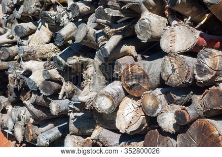 Close-up Of Small Dried Wooden Logs Stacked For Firewood Or Barbecue