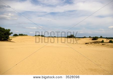 Dunas