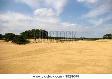 Dunas