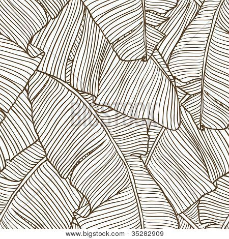 Illustrazione vettoriale di foglie di Palma. Seamless pattern.
