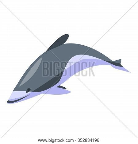 White Grey Dolphin Icon. Isometric Of White Grey Dolphin Vector Icon For Web Design Isolated On Whit