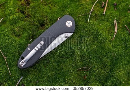 Pocket Knife In The Folded Position. Knife On The Moss.