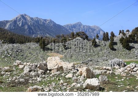 landscape with rock on green mountain meadow