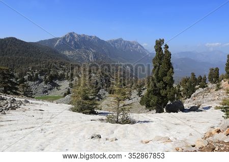 Mountain landscape with cedar trees in valley. Turkey, Lician way in Turkey.
