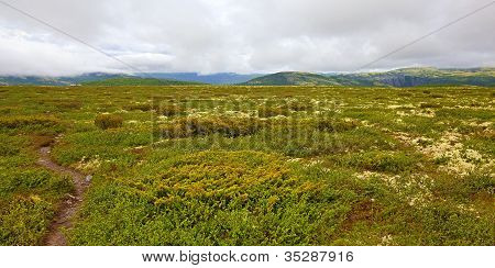 Rondane Norsko