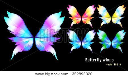 Set Different Colorful Flame Gradient Butterfly Wings