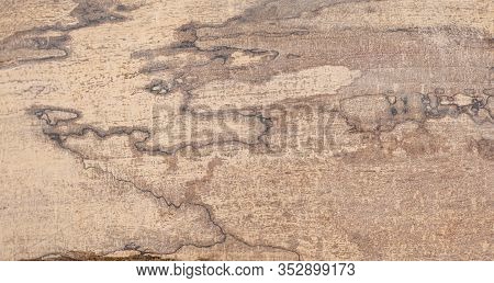 Nature Timber Old Wood Striped Background Texture