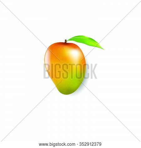 Fresh Fruit Mango Illustration Logo Design Vector Isolated On White Background