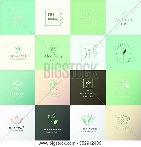 Set Of Beauty Nature Fashion Logo Design Vector