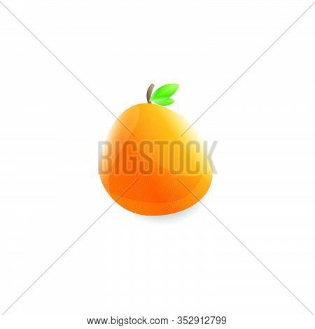 Orange Fruit Logo Design Vector Isolated On White Background