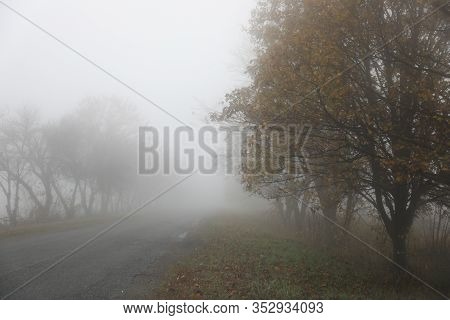 Autumn Fog On The Road. Yellow Leavs. Autumn Time