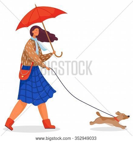 Young Woman Walk With Her Pet, Puppy In Park. Woman Stroll With Active Dog On Leash. Person Dressed 