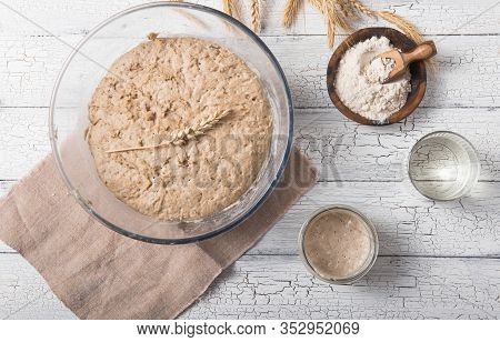 The Leaven For Bread Is Active. Starter
Sourdough ( Fermented Mixture Of Water And Flour To Use As L