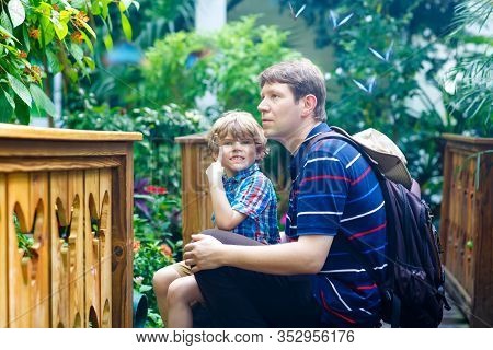 Father And Preschool Kid Boy Discovering Flowers, Plants And Butterflies At Botanic Garden. Family, 