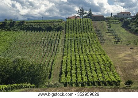 Rural Landscape Near Chieti, Abruzzo, Italy, At Summer. Vineyards