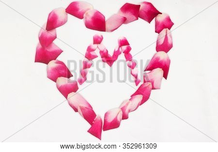 Love Shape Rose Petal Letter M Background Image On White Background. Letter M Into Love Shape